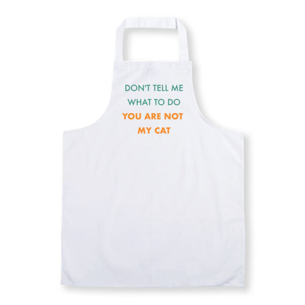 You are not my Cat Thumbnail