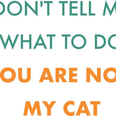 Not_my_cat Thumbnail